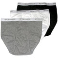 Regular Rise Brief Underwear for Men